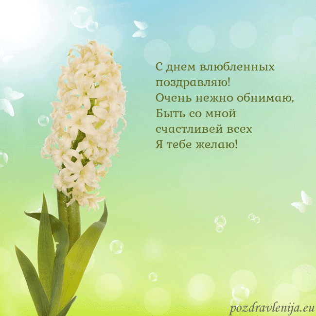 Открытка с гиацинтом
