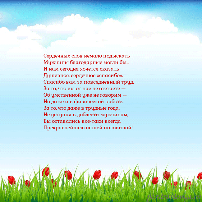 Открытка с тюльпанами
