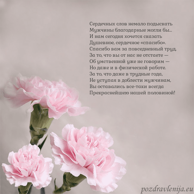 Открытка с розовыми гвоздиками Сердечных слов немало подыскать
Мужчины благодарны Открытка с розовыми гвоздиками