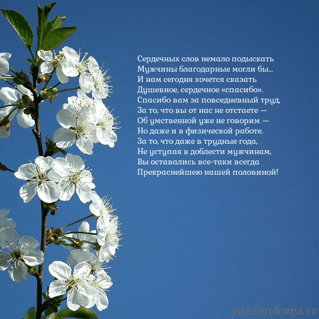 Открытка с весенними цветами Сердечных слов немало подыскать
Мужчины благодарны Открытка с весенними цветами