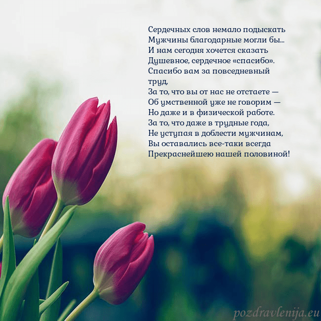 Открытка с тремя красными тюльпанами Сердечных слов немало подыскать
Мужчины благодарны Открытка с тремя красными тюльпанами