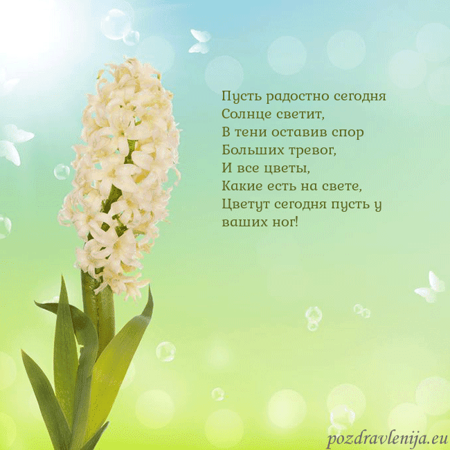 Открытка с гиацинтом Пусть радостно сегодня
Солнце светит,
В тени остав Открытка с гиацинтом