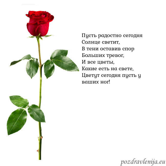 Открытка с красной розой Пусть радостно сегодня
Солнце светит,
В тени остав Открытка с красной розой