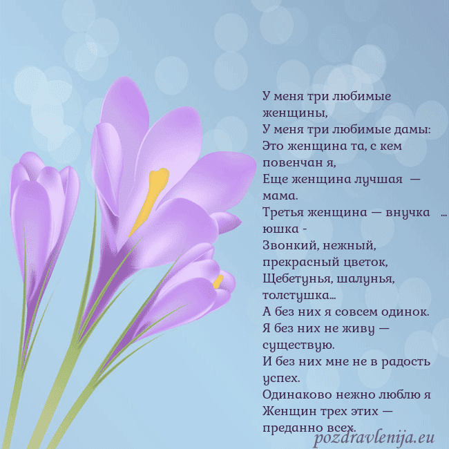 Открытка с крокусом У меня три любимые женщины,
У меня три любимые дам Открытка с крокусом
