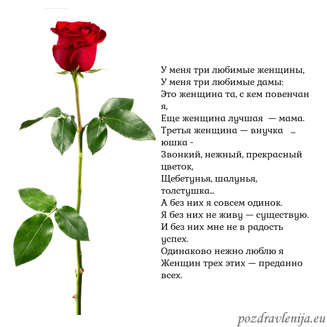 Открытка с красной розой У меня три любимые женщины,
У меня три любимые дам Открытка с красной розой