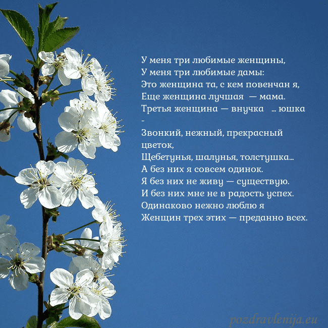 Открытка с весенними цветами У меня три любимые женщины,
У меня три любимые дам Открытка с весенними цветами