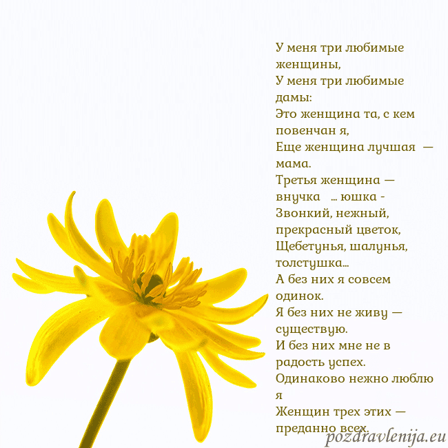 Открытка с желтым цветком У меня три любимые женщины,
У меня три любимые дам Открытка с желтым цветком