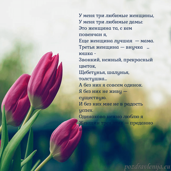 Открытка с тремя красными тюльпанами У меня три любимые женщины,
У меня три любимые дам Открытка с тремя красными тюльпанами