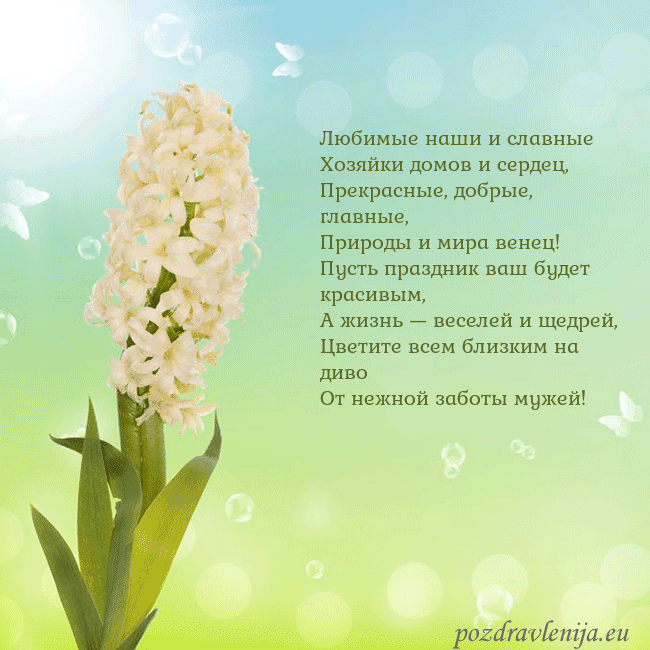 Открытка с гиацинтом