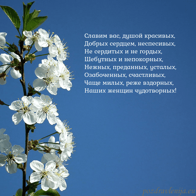 Открытка с весенними цветами Славим вас, душой красивых,
Добрых сердцем, неспес Открытка с весенними цветами