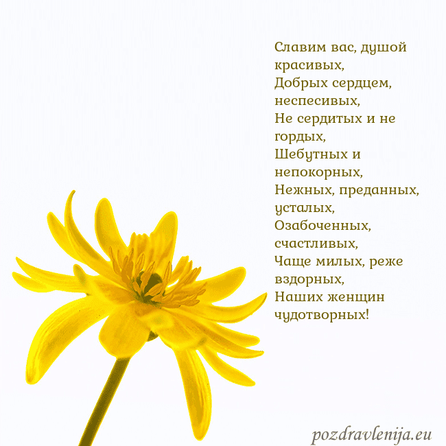 Открытка с желтым цветком Славим вас, душой красивых,
Добрых сердцем, неспес Открытка с желтым цветком