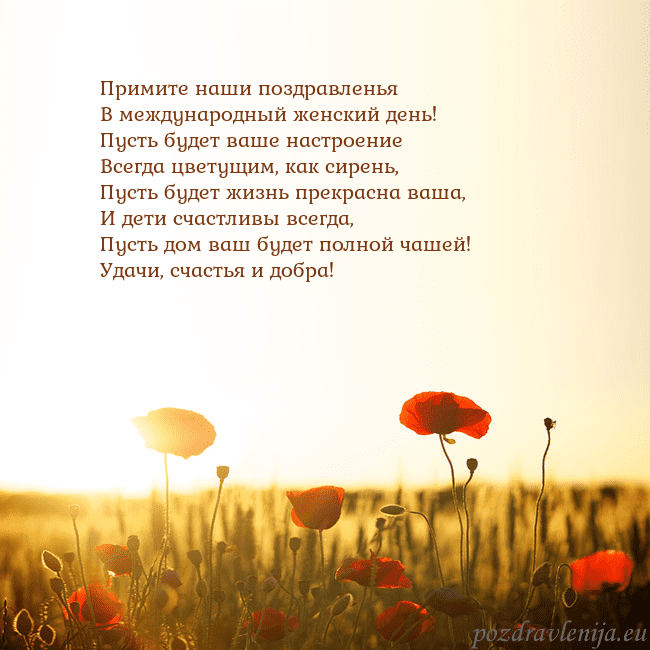 Электронная открытка с полем маков Примите наши поздравленья
В международный женский Электронная открытка с полем маков