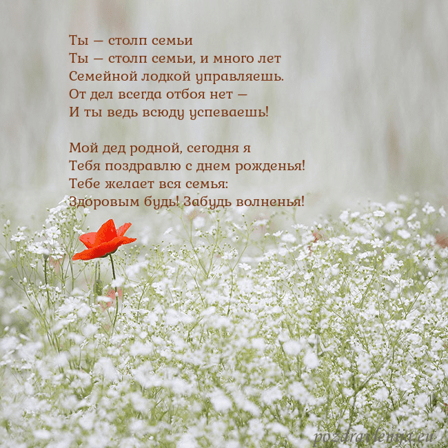 Электронная открытка с белыми цветами