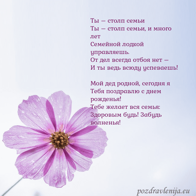 Электронная открытка с фиолетовым цветком