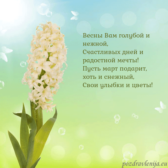 Открытка с гиацинтом Весны Вам голубой и нежной,
Счастливых дней и радо Открытка с гиацинтом