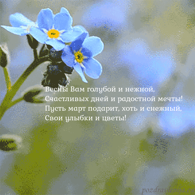 Электронная анимированная открытка с незабудками Весны Вам голубой и нежной,
Счастливых дней и радо Электронная анимированная открытка с незабудками