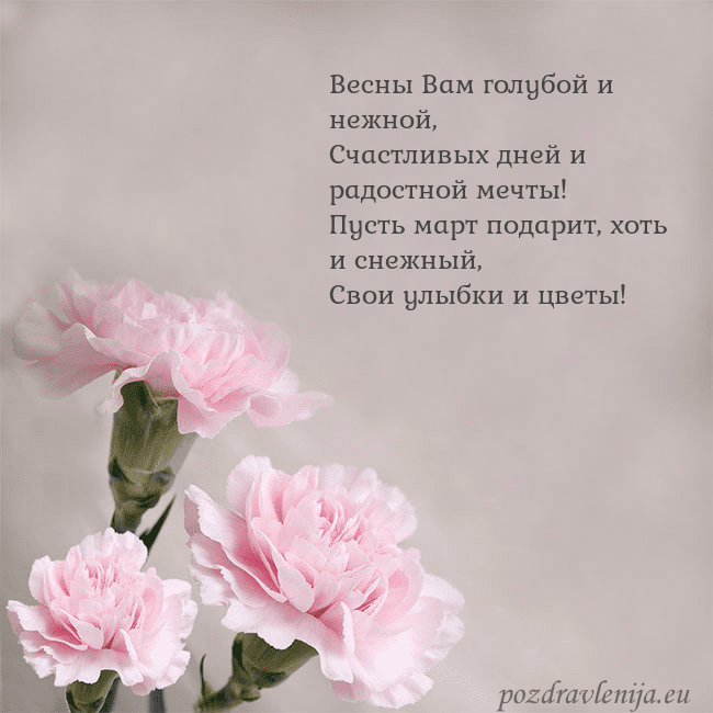 Открытка с розовыми гвоздиками Весны Вам голубой и нежной,
Счастливых дней и радо Открытка с розовыми гвоздиками