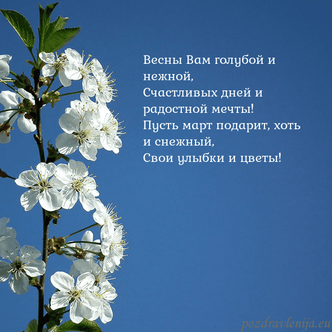 Открытка с весенними цветами Весны Вам голубой и нежной,
Счастливых дней и радо Открытка с весенними цветами