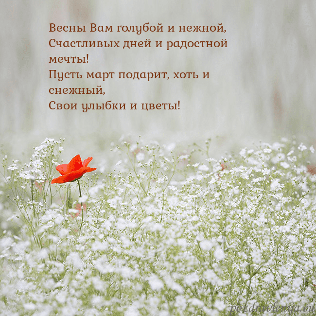 Электронная открытка с белыми цветами