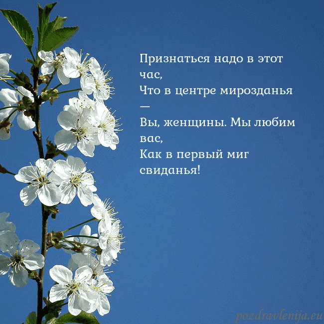 Открытка с весенними цветами Признаться надо в этот час,
Что в центре мироздань Открытка с весенними цветами