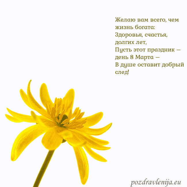 Открытка с желтым цветком Желаю вам всего, чем жизнь богата:
Здоровья, счаст Открытка с желтым цветком
