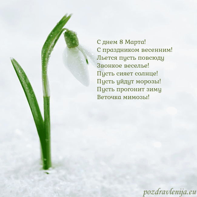 kovo 8-7 С днем 8 Марта!
С праздником весенним!
Льется пуст kovo 8-7
