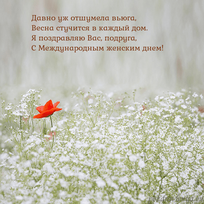 Электронная открытка с белыми цветами Давно уж отшумела вьюга,
Весна стучится в каждый д Электронная открытка с белыми цветами