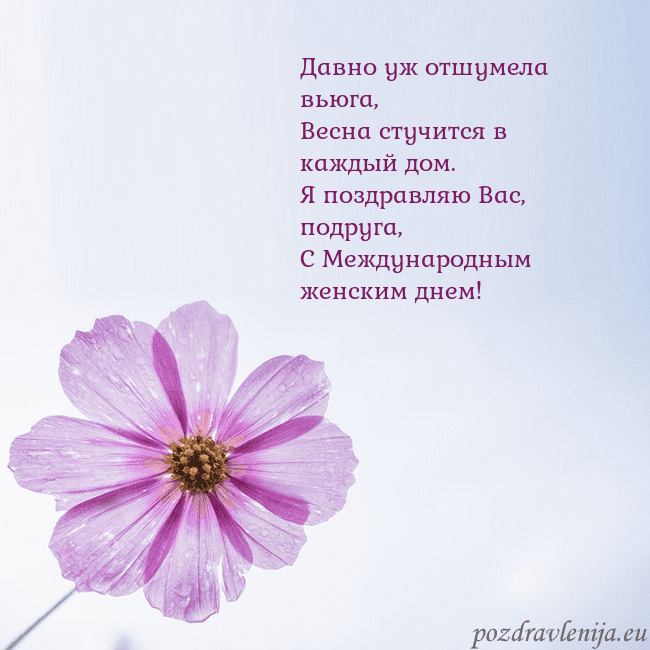 Электронная открытка с фиолетовым цветком Давно уж отшумела вьюга,
Весна стучится в каждый д Электронная открытка с фиолетовым цветком