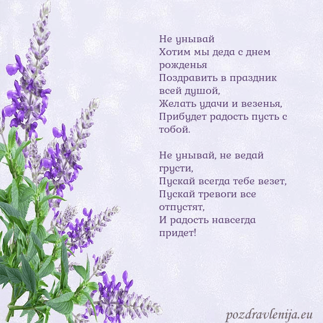 Открытка с люпинами