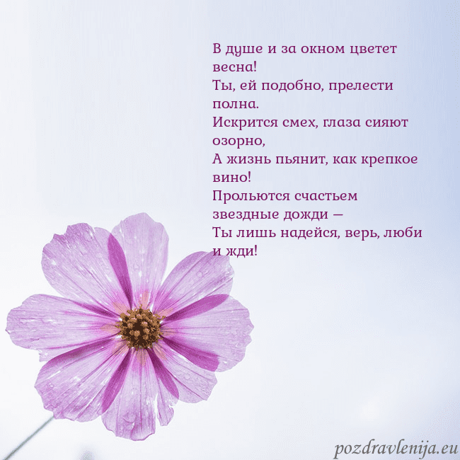 Электронная открытка с фиолетовым цветком В душе и за окном цветет весна!
Ты, ей подобно, пр Электронная открытка с фиолетовым цветком