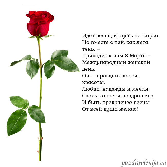Открытка с красной розой Идет весна, и пусть не жарко,
Но вместе с ней, как Открытка с красной розой