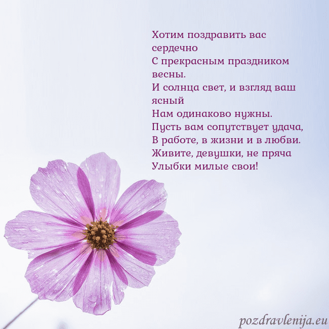Электронная открытка с фиолетовым цветком Хотим поздравить вас сердечно
С прекрасным праздни Электронная открытка с фиолетовым цветком