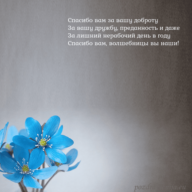 Открытка с фиалками Спасибо вам за вашу доброту
За вашу дружбу, предан Открытка с фиалками