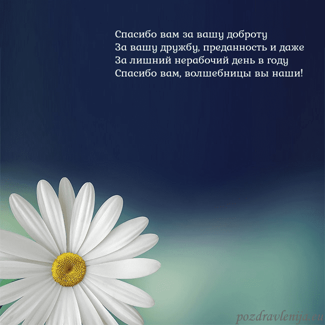 Открытка с большой ромашкой Спасибо вам за вашу доброту
За вашу дружбу, предан Открытка с большой ромашкой