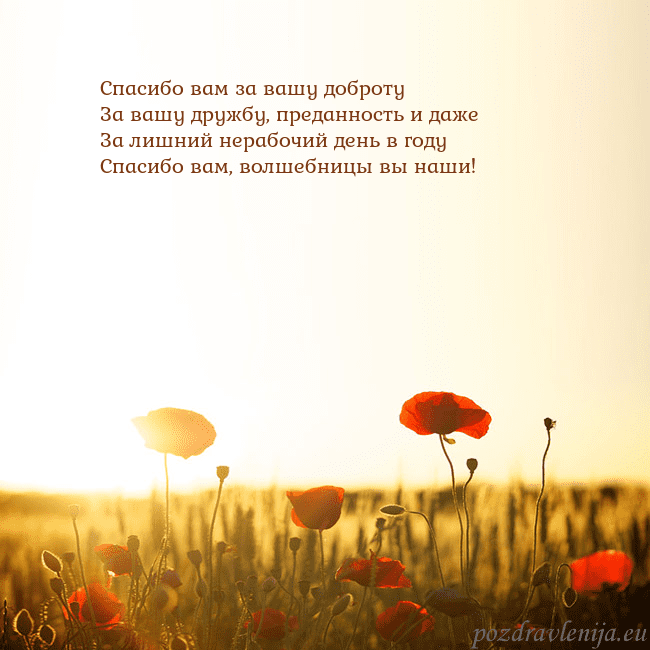 Электронная открытка с полем маков Спасибо вам за вашу доброту
За вашу дружбу, предан Электронная открытка с полем маков