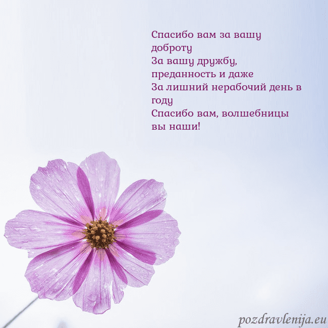 Электронная открытка с фиолетовым цветком Спасибо вам за вашу доброту
За вашу дружбу, предан Электронная открытка с фиолетовым цветком