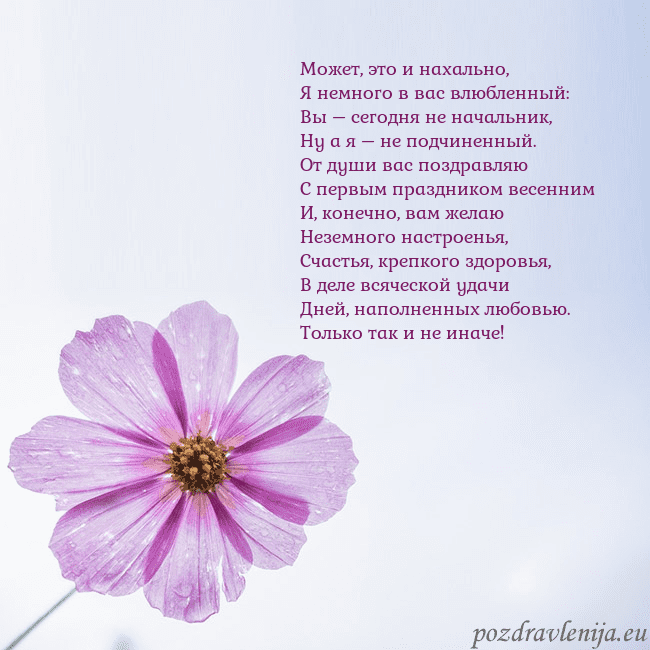 Электронная открытка с фиолетовым цветком Может, это и нахально,
Я немного в вас влюбленный: Электронная открытка с фиолетовым цветком
