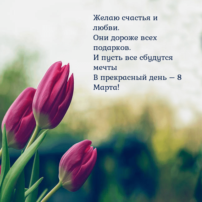 Открытка с тремя красными тюльпанами Желаю счастья и любви.
Они дороже всех подарков.
И Открытка с тремя красными тюльпанами