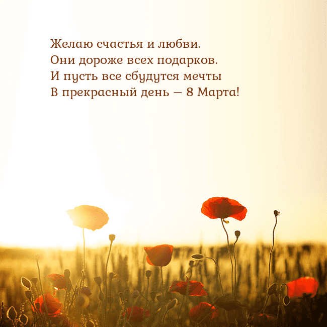 Электронная открытка с полем маков Желаю счастья и любви.
Они дороже всех подарков.
И Электронная открытка с полем маков