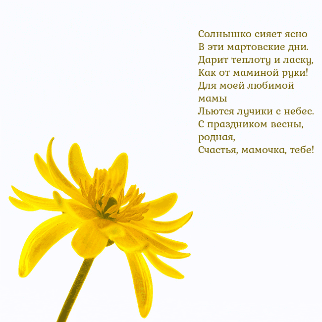Открытка с желтым цветком