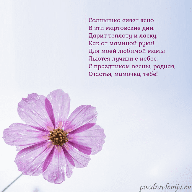 Электронная открытка с фиолетовым цветком Солнышко сияет ясно
В эти мартовские дни.
Дарит те Электронная открытка с фиолетовым цветком