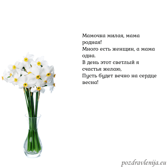 Открытка с нарциссами Мамочка милая, мама родная!
Много есть женщин, а м Открытка с нарциссами