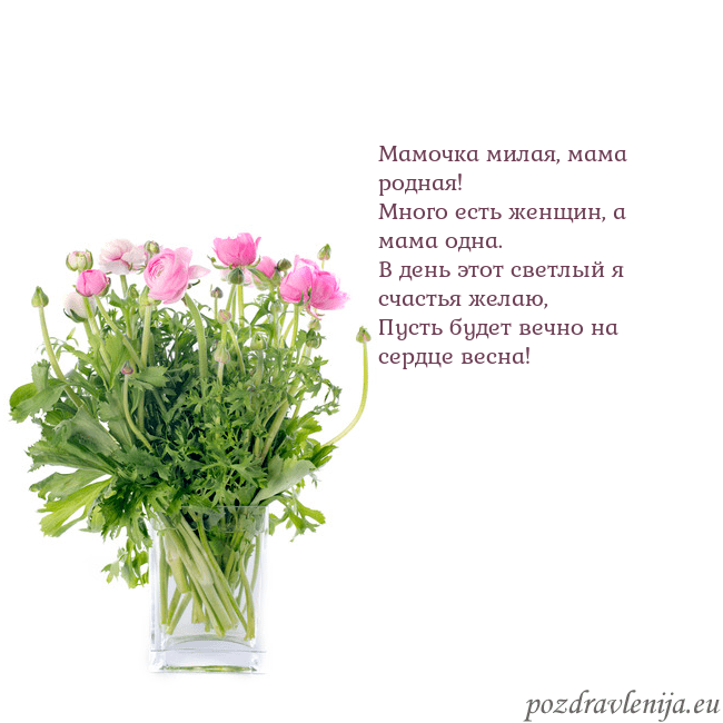 Открытка с цветами в вазе Мамочка милая, мама родная!
Много есть женщин, а м Открытка с цветами в вазе