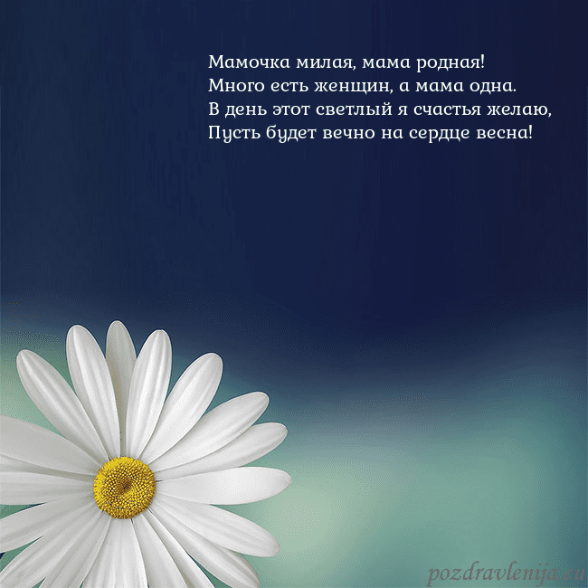 Открытка с большой ромашкой Мамочка милая, мама родная!
Много есть женщин, а м Открытка с большой ромашкой