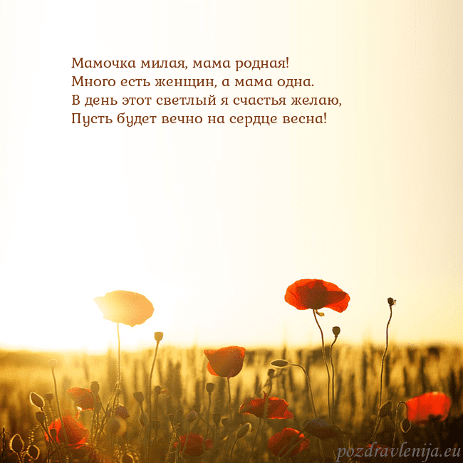 Электронная открытка с полем маков Мамочка милая, мама родная!
Много есть женщин, а м Электронная открытка с полем маков