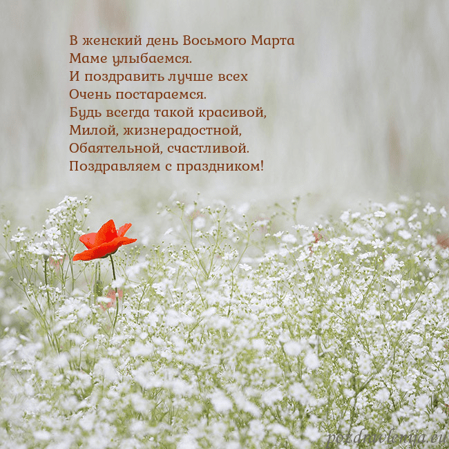 Электронная открытка с белыми цветами