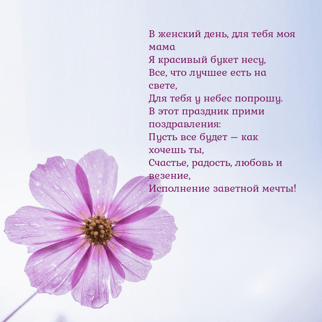 Электронная открытка с фиолетовым цветком В женский день, для тебя моя мама
Я красивый букет Электронная открытка с фиолетовым цветком