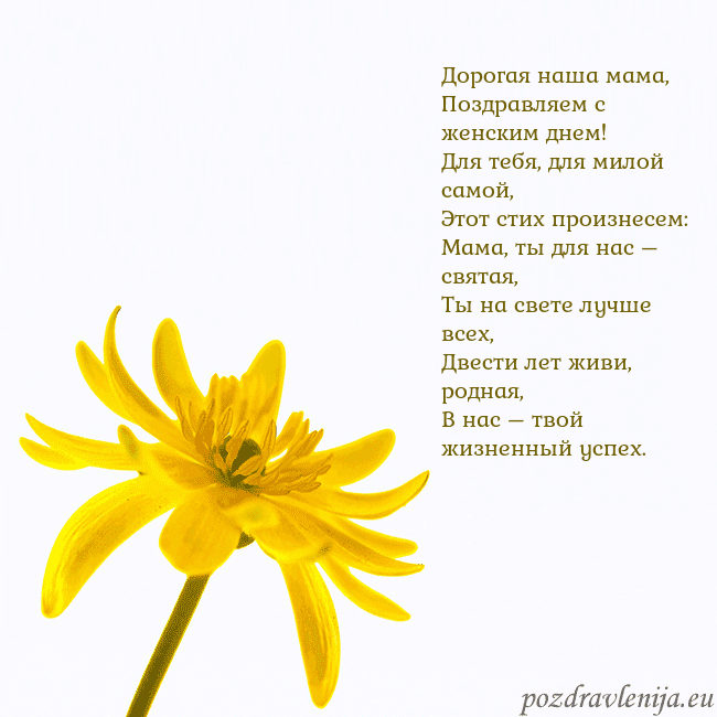 Открытка с желтым цветком Дорогая наша мама,
Поздравляем с женским днем!
Для Открытка с желтым цветком