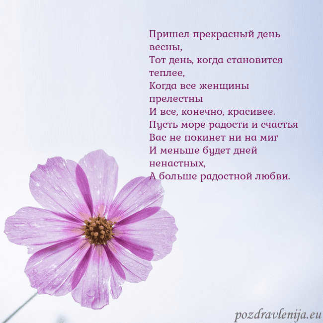 Электронная открытка с фиолетовым цветком Пришел прекрасный день весны,
Тот день, когда стан Электронная открытка с фиолетовым цветком