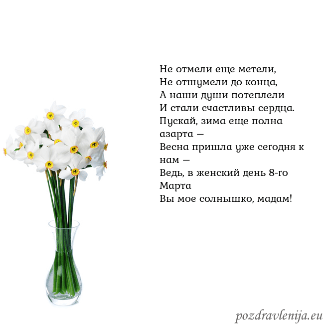Открытка с нарциссами Не отмели еще метели,
Не отшумели до конца,
А наши Открытка с нарциссами